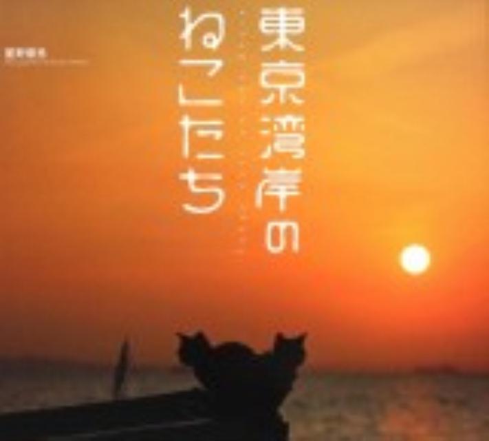 東京湾岸のねこたち