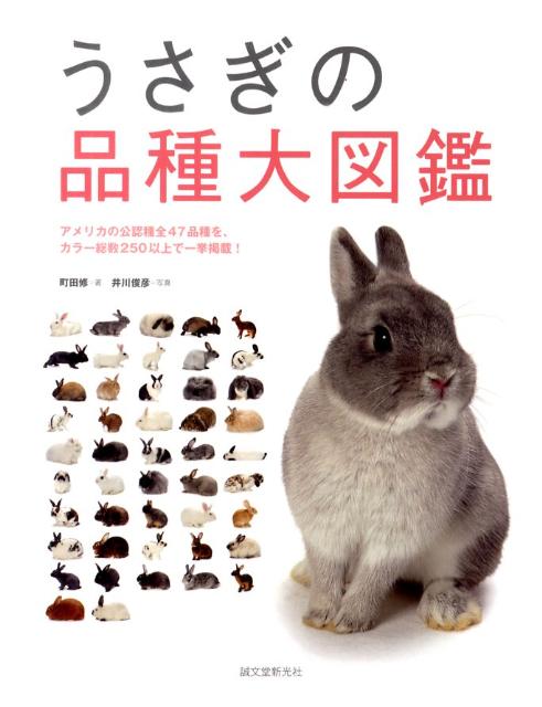 うさぎの品種大図鑑