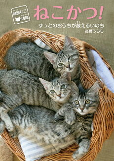 保護ねこ活動 ねこかつ!ずっとのおうちが救えるいのちの表紙