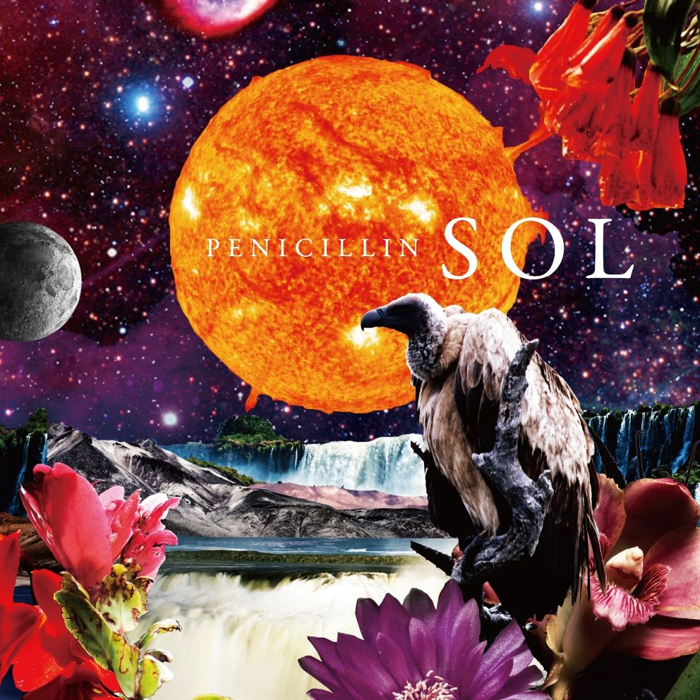 SOL [ PENICILLIN ]