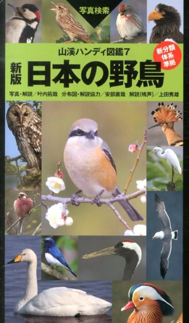 日本の野鳥新版 （山溪ハンディ図鑑） [ 叶内拓哉 ]