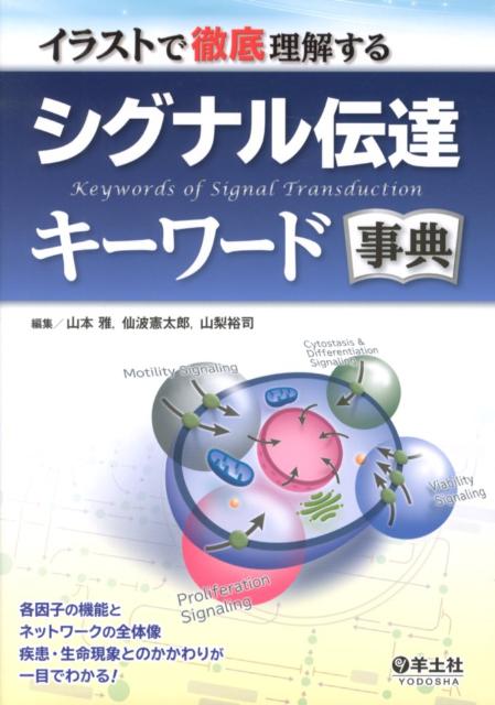 イラストで徹底理解するシグナル伝達キーワード事典 [ 山本雅 ]