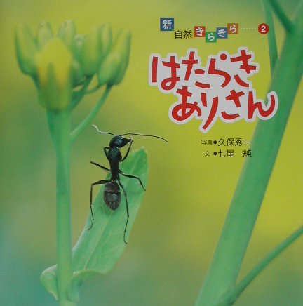 はたらきありさん