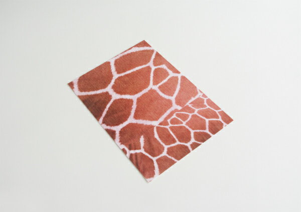 REALFAKE／ステッカーシート　キリン SS-GI