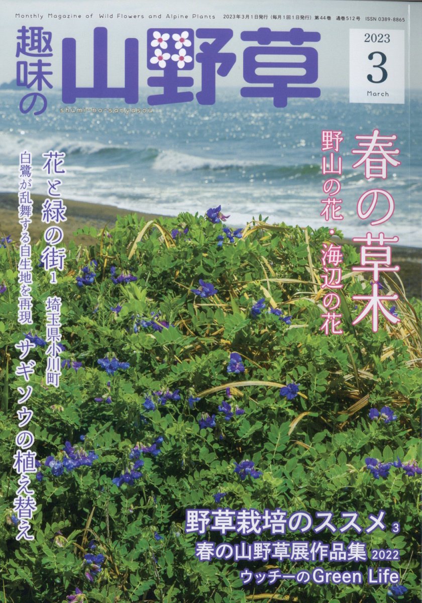 趣味の山野草 2023年 3月号 [雑誌]