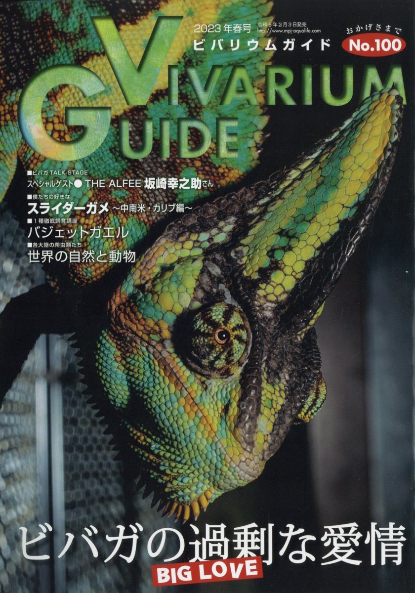 ビバリウムガイド 2023年 3月号 [雑誌]