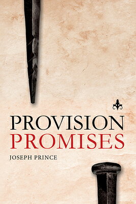 Provision Promises PROVISION PROMISES 