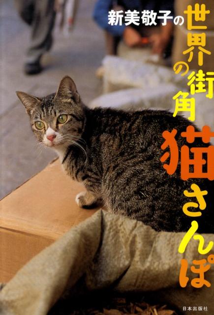 新美敬子の世界の街角猫さんぽ