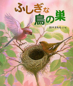 ふしぎな鳥の巣