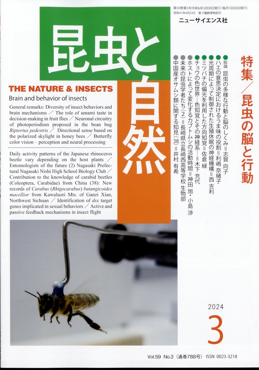 昆虫と自然 2024年 3月号 [雑誌]