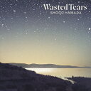 WASTED TEARS [ 浜田省吾 ]