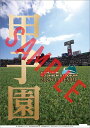 阪神タイガース マスコットカレンダー(2026年1月始まりカレンダー)