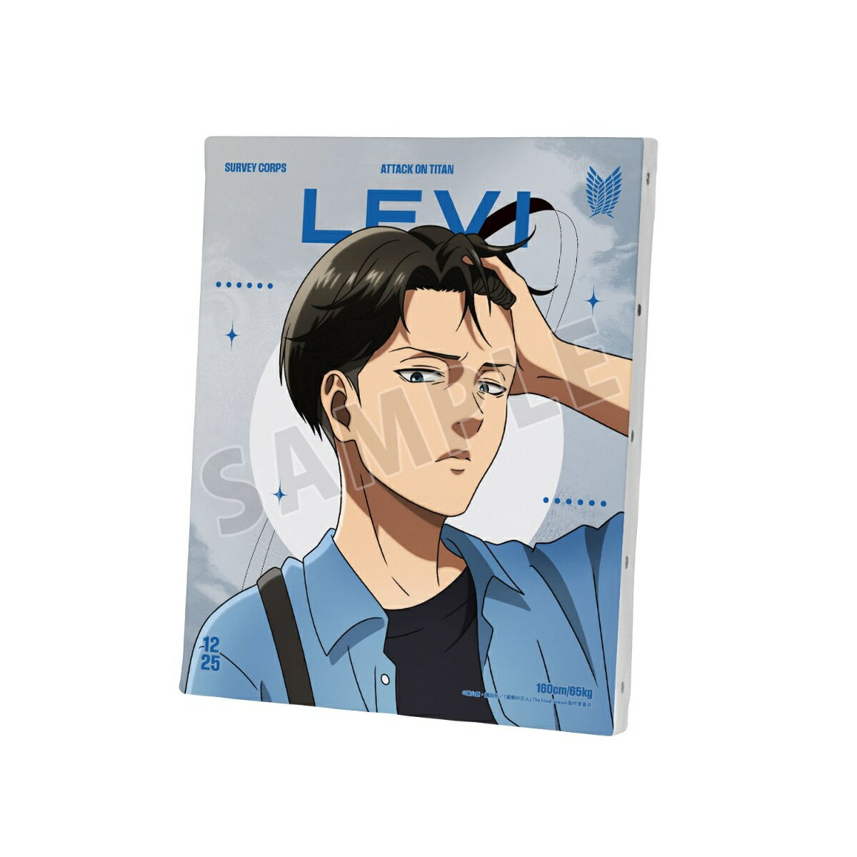 TVアニメ『進撃の巨人』描き下ろし リヴァイ シミラールックver. 第2弾 F3号キャンバスボード