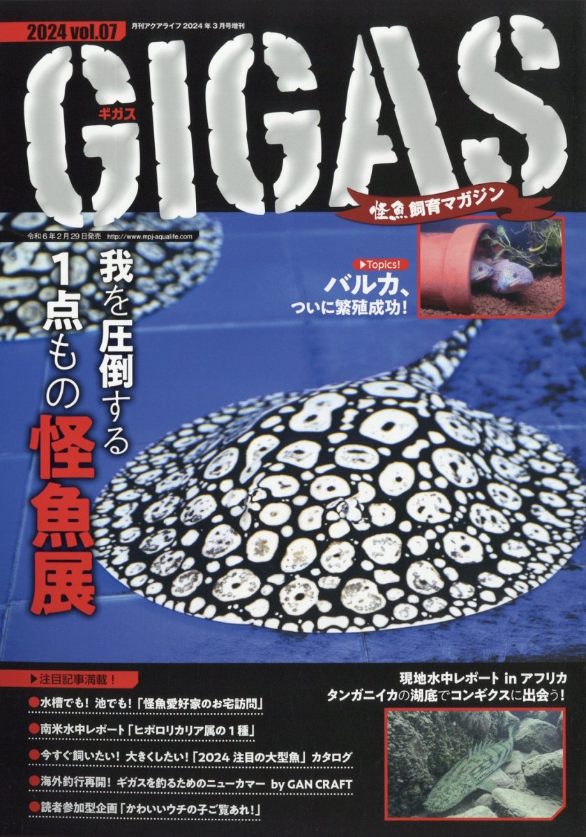 怪魚飼育マガジンGIGAS(ギガス)vol.07 2024年 3月号 雑誌