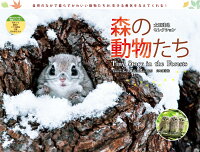 <span class="title">カレンダー2023 太田達也セレクション 森の動物たち Tiny Story in the Forests (月めくり/壁掛け) （ヤマケイカレンダー2023） [ 太田 達也 ]　</span>