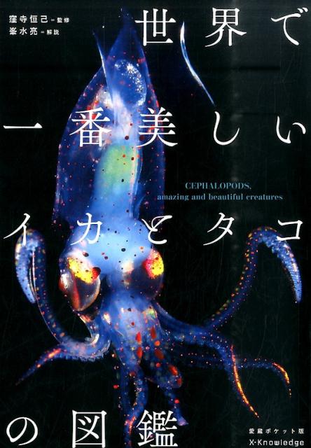 世界で一番美しいイカとタコの図鑑愛蔵ポケット版