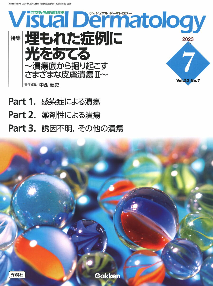 Visual　D．　2023年7月号　Vol．22　No．7