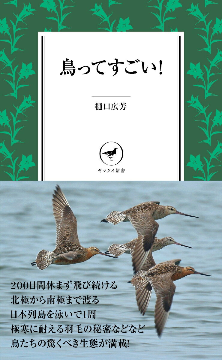 鳥ってすごい！ （ヤマケイ新書） [ 樋口広芳 ]のサムネイル