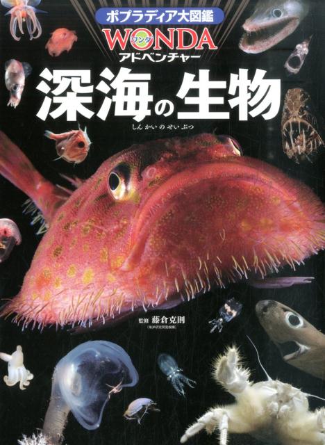 深海の生物