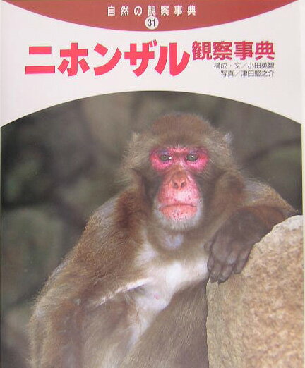 ニホンザル観察事典