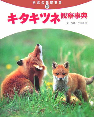 キタキツネ観察事典