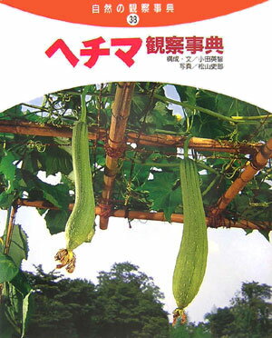 ヘチマ観察事典