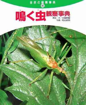 鳴く虫観察事典