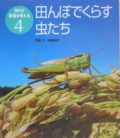 田んぼでくらす虫たち