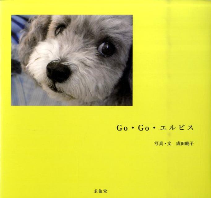 犬たちの生き様は元気のくすり。愛犬トイ・プードルのエルビスと。