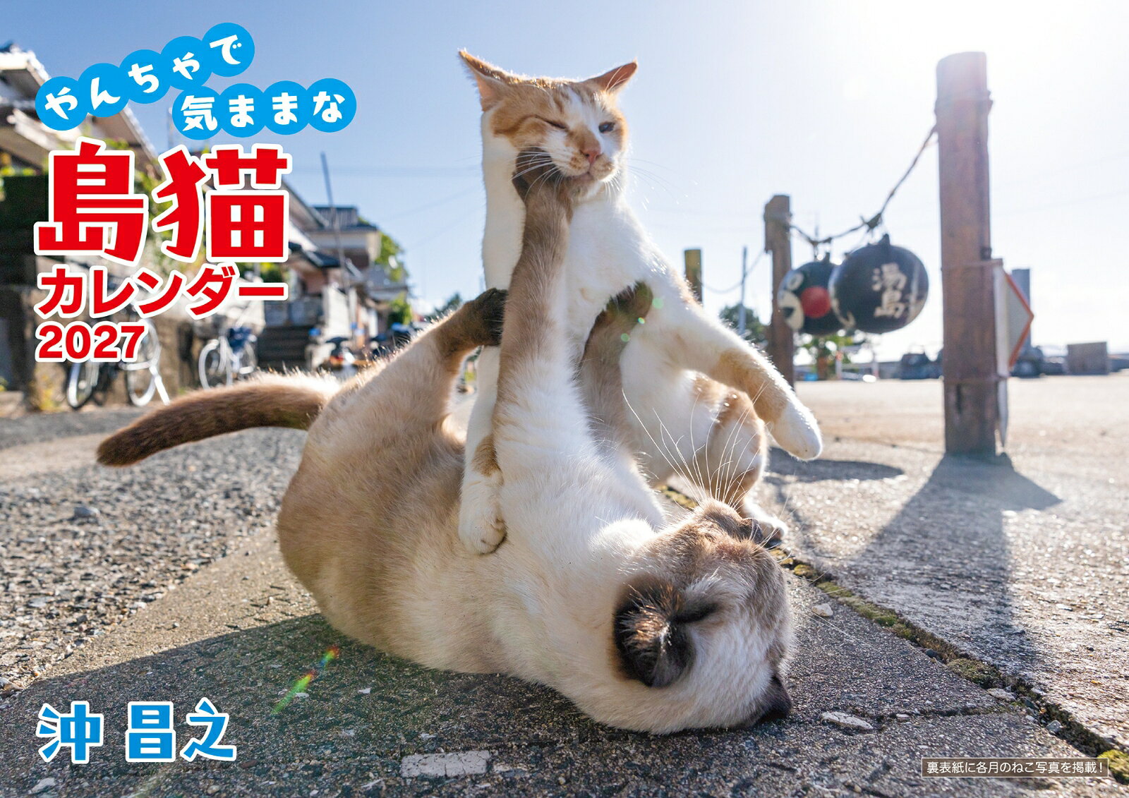 自由気ままな“島猫”の魅力をたっぷり収録した、2027年の壁掛けカレンダー。
人気猫写真家・沖昌之が、島でのびのび暮らす猫たちの自然体の姿を撮影。ユーモアあふれる表情、思わず笑顔になる仕草、島時間を感じる風景など、猫たちの個性が生き生きと伝わる内容です。
【使いやすいカレンダー機能】・予定が書き込みやすい、見やすい日付デザイン・六曜（大安・仏滅）入り・祝日をしっかり表示 ・月の満ち欠け（満月・新月）を掲載・二十四節気（立春・夏至・秋分など）もひと目でわかります
【壁に飾りやすいA4サイズ】本体サイズはA4（ヨコ297mm × タテ210mm）。壁に掛けて見開きにすると、タテ420mm × ヨコ297mmの大きさになり存在感も抜群。リビング・玄関・書斎・オフィスにも映える見やすいサイズです。
【猫好きが喜ぶデザイン】毎月めくるたび、自由で愛らしい島猫たちの物語が広がります。 自宅・オフィス・プレゼント用にも人気の猫写真カレンダーです。写真を見るたび、小さな島への猫旅気分。行ったことのない島も、少し特別に感じられる一年になります。
2027年を“島猫の癒し”とともに過ごせる、ファン待望のカレンダー。猫好きのあの人への贈り物にもおすすめです。