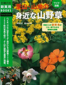 【バーゲン本】里山・山地の身近な山野草　ワイド図鑑