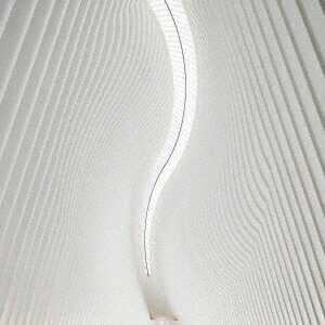 Pray Pray Pray [ polly ]