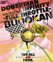 DOBERMAN INFINITY 2018 DOGG YEAR 〜FULLTHROTTLE〜 in 日本武道館(通常盤)【Blu-ray】 [ DOBERMA...