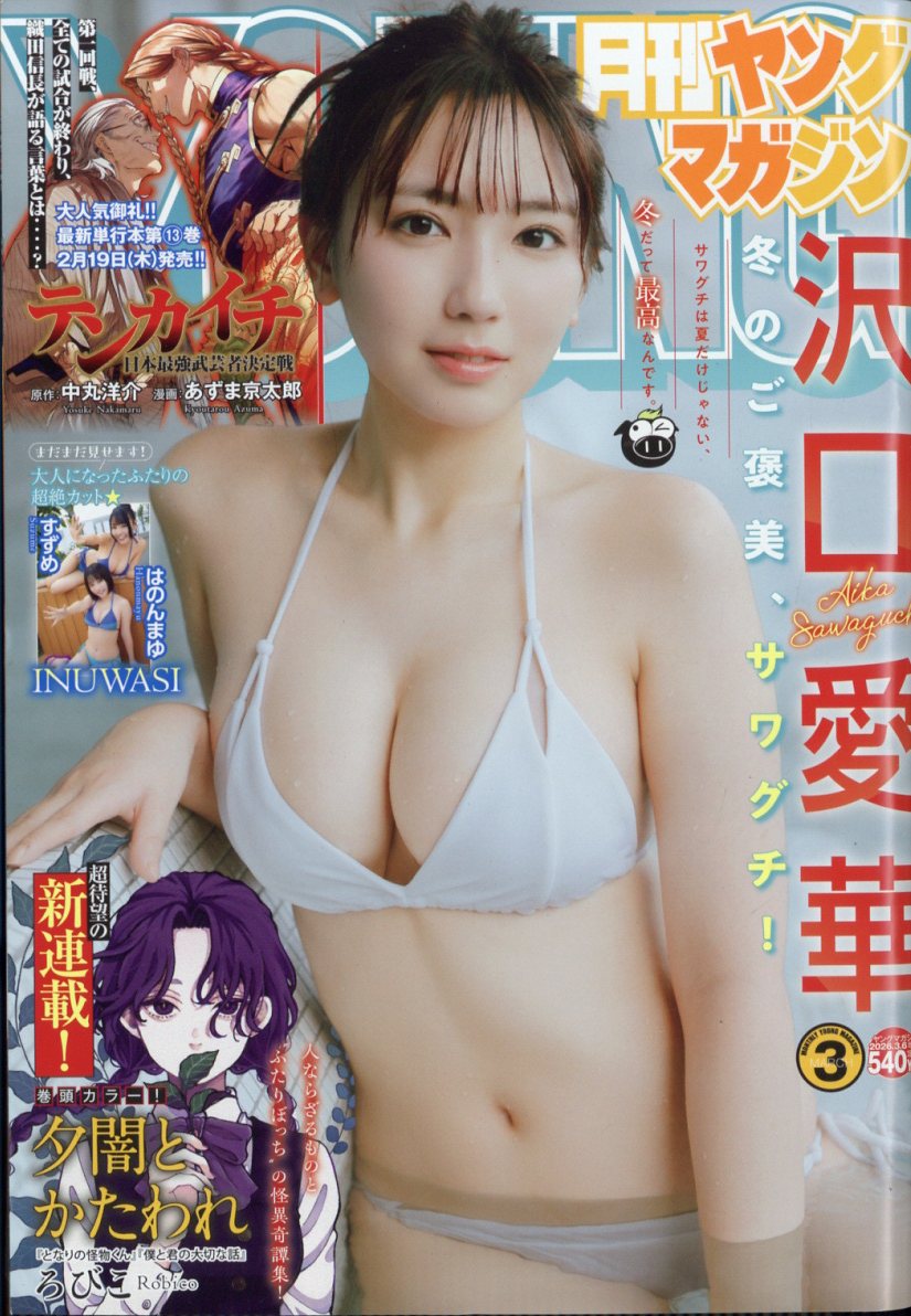 月刊ヤングマガジン 2026年 3/6号 [雑誌]