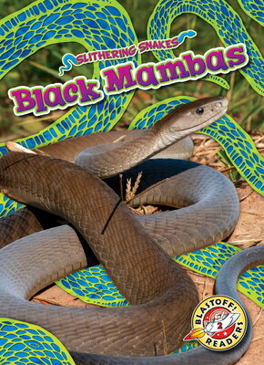 Black Mambas BLACK MAMBAS （Slithering Snakes） [ Joanne Mattern ]