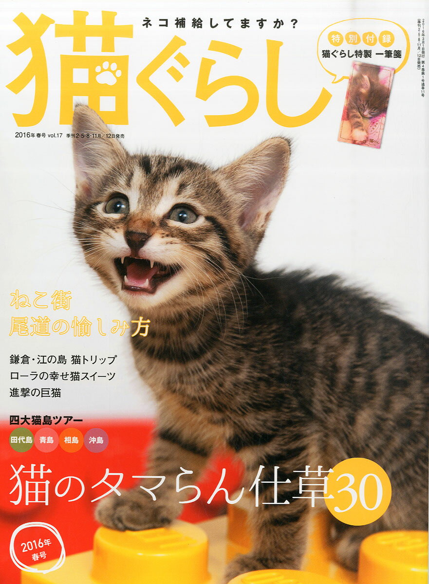 猫ぐらし 2016年 03月号 [雑誌]