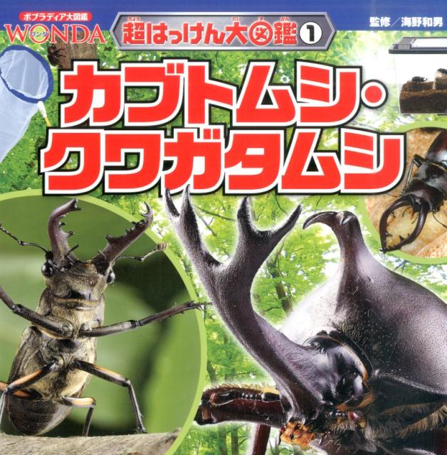 カブトムシ・クワガタムシ