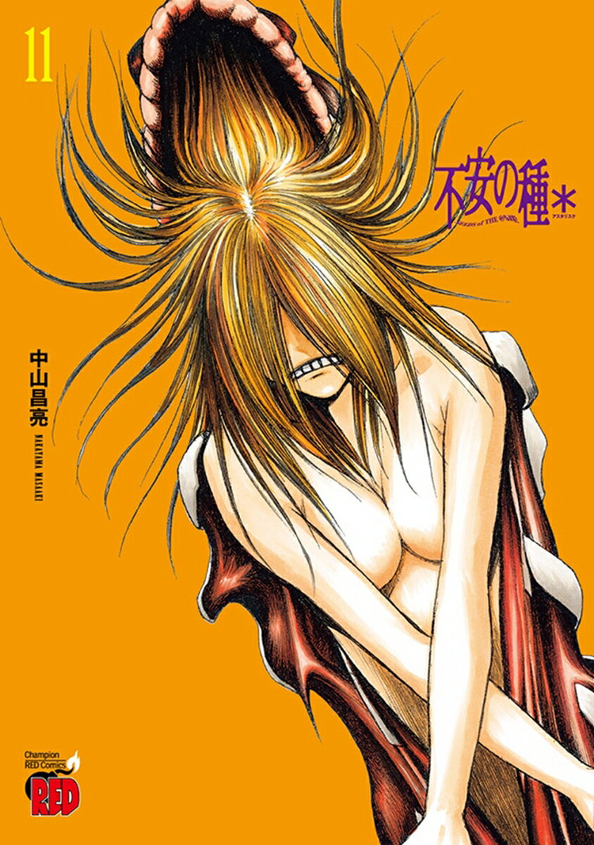 不安の種＊ 11（中山昌亮）の書影