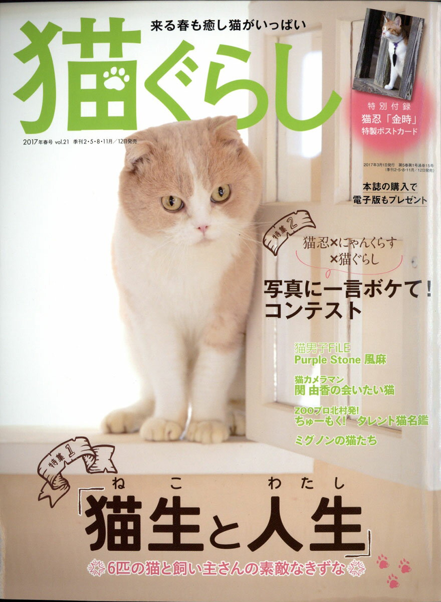 猫ぐらし 2017年 03月号 [雑誌]