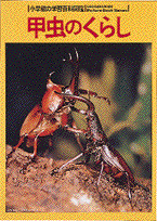 甲虫のくらし