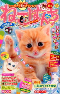 ねこぱんち　ひえひえ号