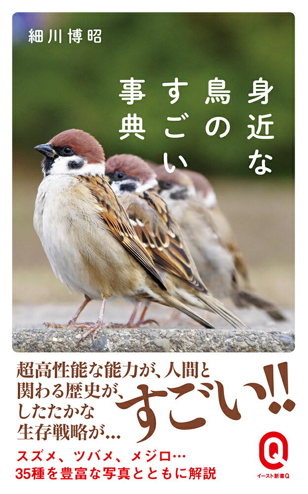 驚異の能力で千キロ超の距離を飛び帰巣するハト。神の遣いから一変、ある時代から嫌われ者になってしまったカラス。二千年も人と暮らし、その関係が濃すぎる故に数を減らしつつあるスズメ。遙かな昔から私たちの傍には鳥の姿があった。現代、東京の空にはインド・スリランカ産の群やかな緑色のインコが飛び、いずれ「日本の鳥」となるといわれる。鳥たちの歴史は長くその世界は驚くほど広い。身近に見られる３５種の鳥たちの意外な歴史とたくましい生き方を紹介する。