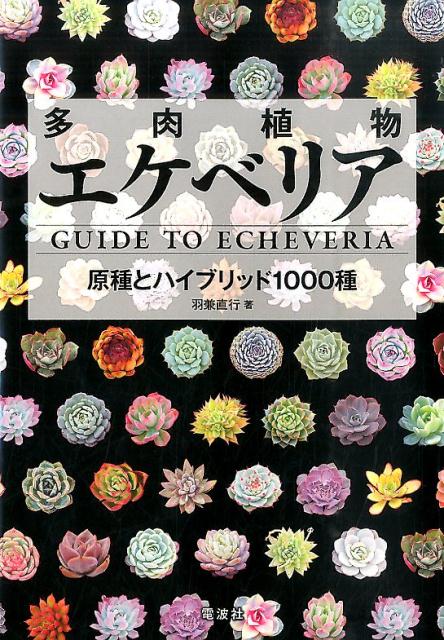 多肉植物エケベリア 原種とハイブリッド1000種 [ 羽兼直行