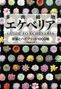 多肉植物エケベリア 原種とハイブリッド1000種 [ 羽兼直行 ]