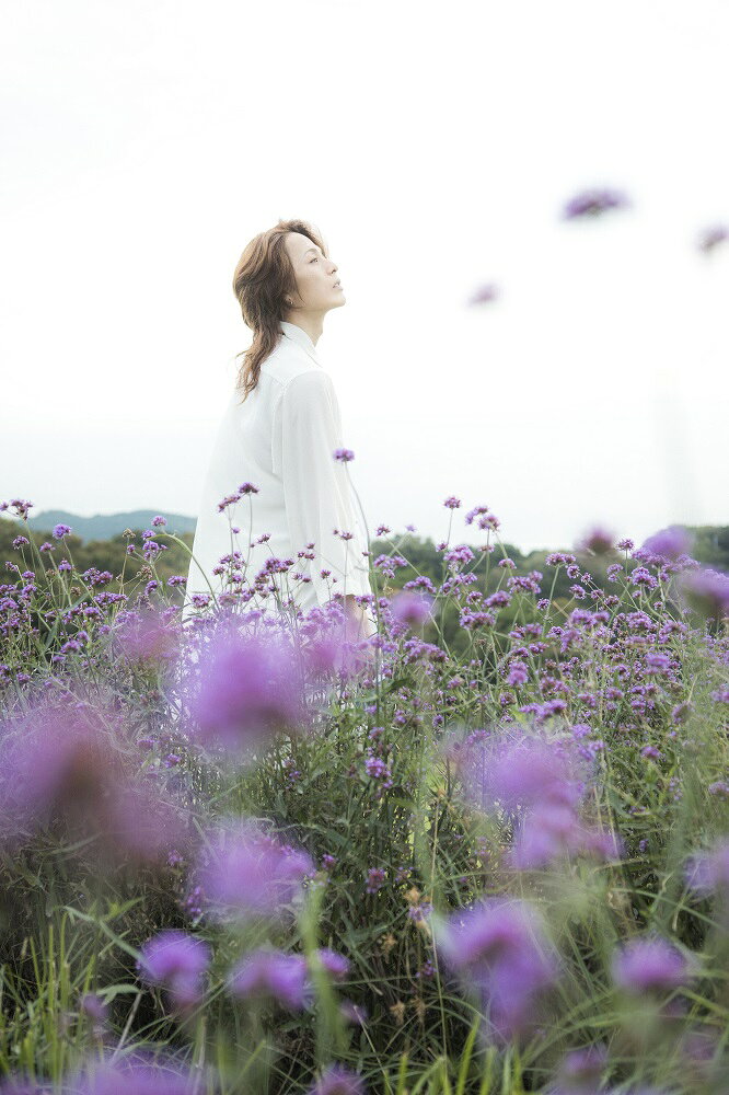 History ���ڹ�ʸ�ե��ȥ֥å� ��TOKYO��NEWS��MOOK�� [ ���ڹ�ʸ ]