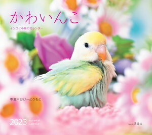 かわいんこ　インコと小鳥のカレンダー（2023） （［カレンダー］）