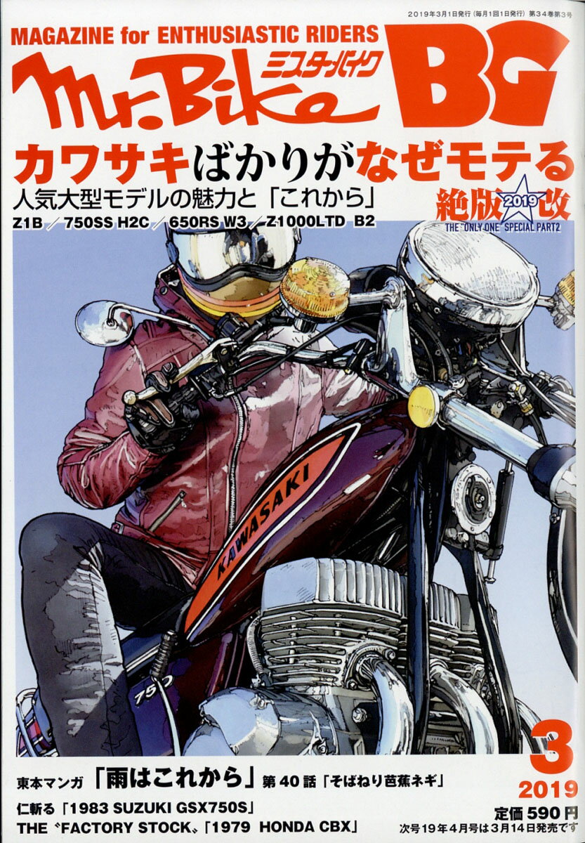 Mr.Bike (ミスターバイク) BG (バイヤーズガイド) 2019年 03月号 [雑誌]