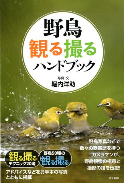 野鳥写真などで数々の受賞歴を持つカメラマンが、野鳥観察の極意と撮影の技を伝授！