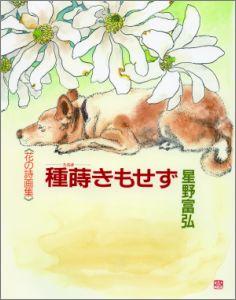 �֤λ��轸���Ｌ���⤻��