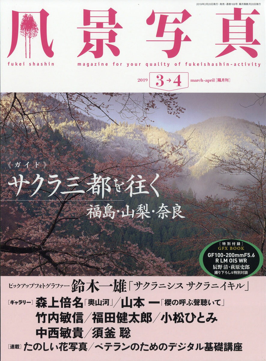 風景写真 2019年 03月号 [雑誌]